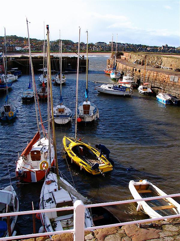 N Berwick harbour.jpg